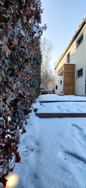 Schneebedeckter Gartenweg entlang einer immergrünen Hecke neben einem modernen Einfamilienhaus mit Holzfassadenelementen