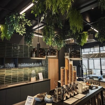 Frühstücksbereich im Hotel Zeller Königsbrunn mit dekorativer LED-Beleuchtung, Pflanzenakzenten und Elektroinstallation durch SHI Gebäudetechnik